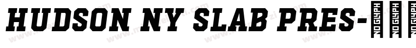 Hudson NY Slab Pres字体转换